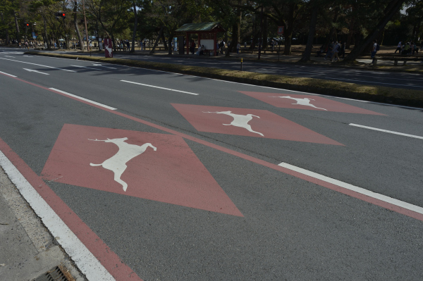 Practical Information　How to Get There-