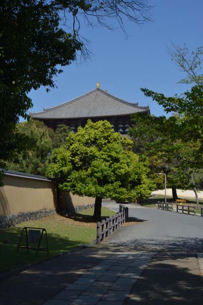 Overview: A Quiet Half-Day Walk in Eastern Nara