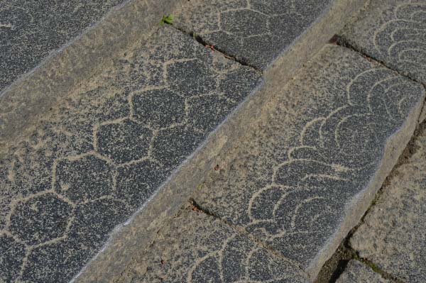 Practical Information　-Tips for Visitors-