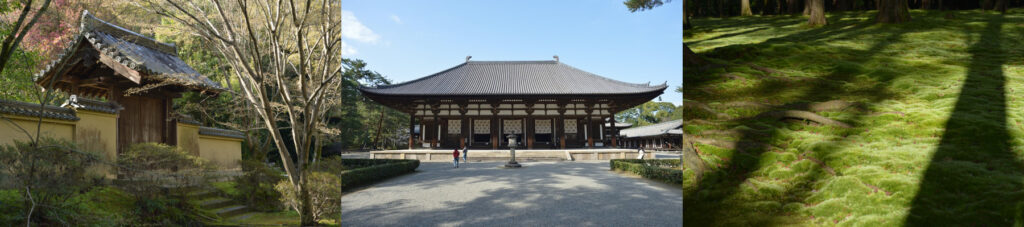 Western Nara Temples | Historic Temples Accessible by Train