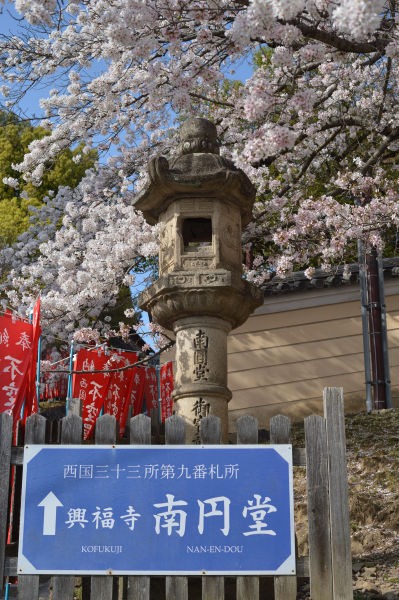 桜満開の南円堂