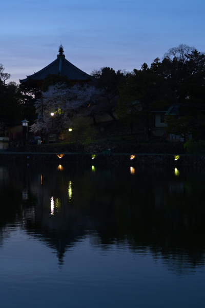 興福寺南円堂夜景