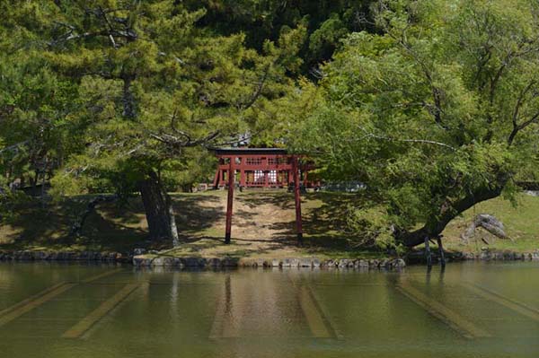 東大寺 鏡池　厳島神社