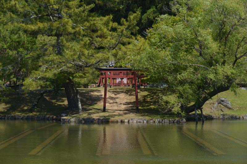 奈良公園エリアの半日モデルコース紹介