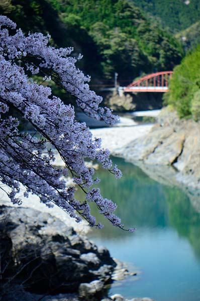 湯泉地温泉のある十津川渓谷の景色