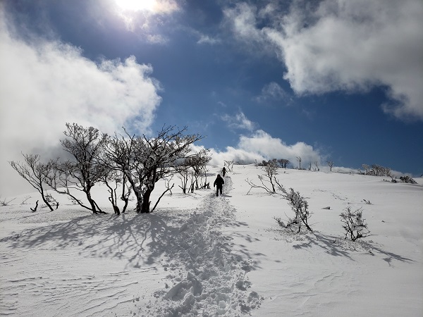 雪の比良山系ハイキング