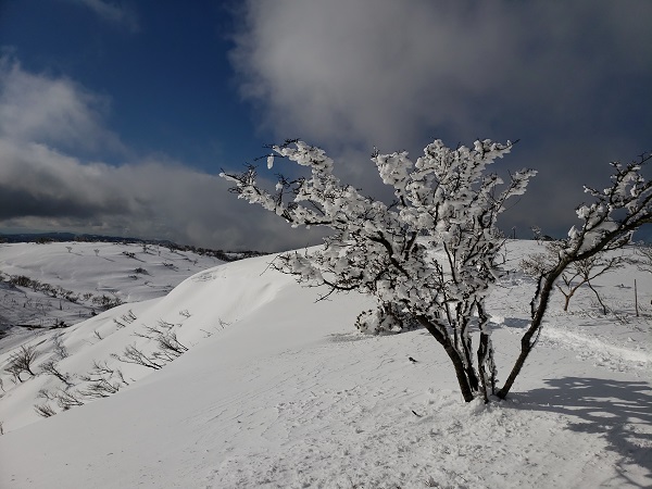 雪の比良山系ハイキング