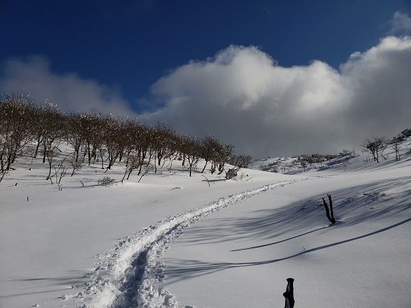 雪の比良山系ハイキング 小女郎峠