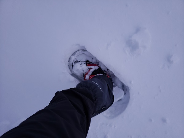 雪の比良山系ハイキング