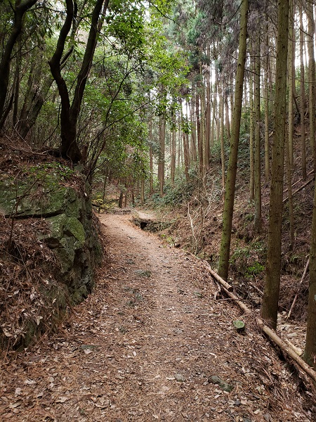 二上山上ノ池横登山口から雄岳に向かう登山道