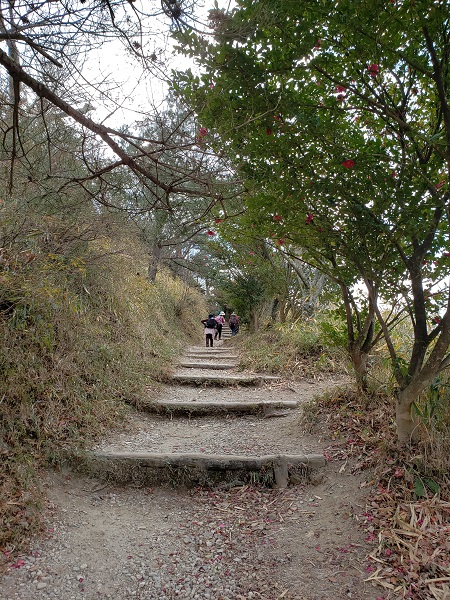 二上山馬の背から雌岳山頂に向かう登山道