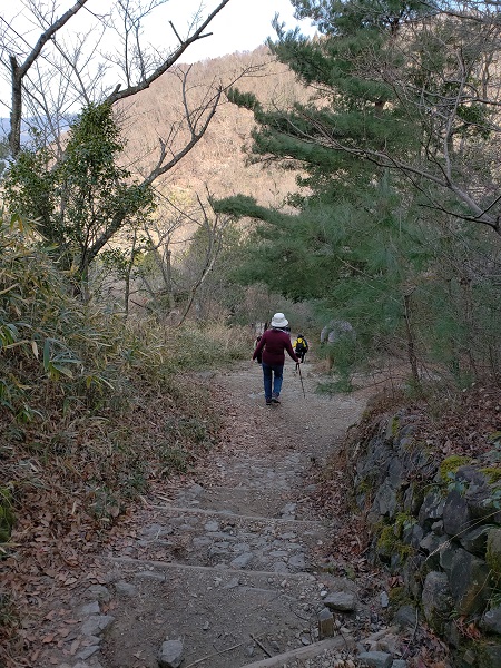 雌岳から馬の背に戻るルート