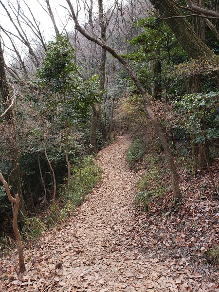 馬の背から祐泉寺に下る登山道