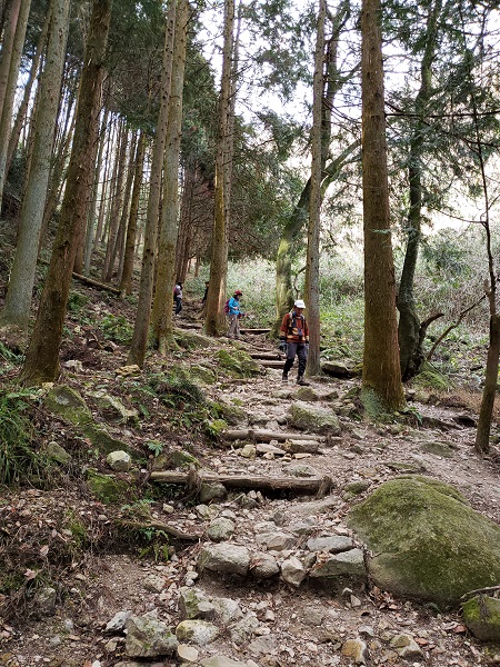 馬の背から祐泉寺に下る登山道