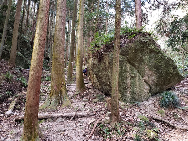 二上山ハイキング