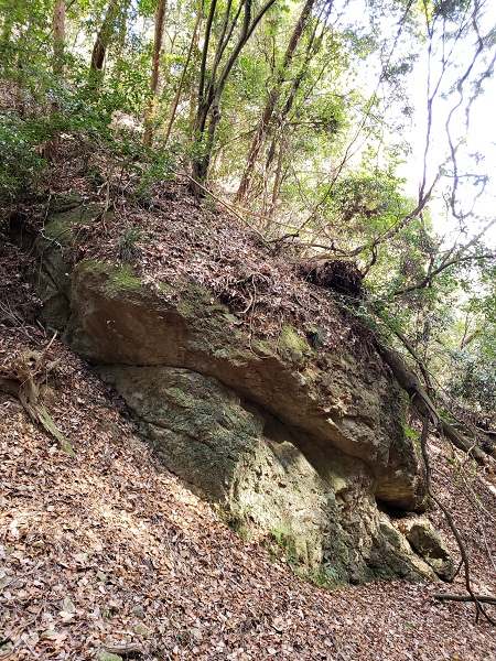 登山道で見かけた巨石