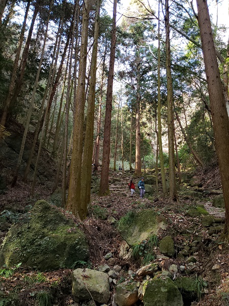 馬の背から祐泉寺に下る登山道