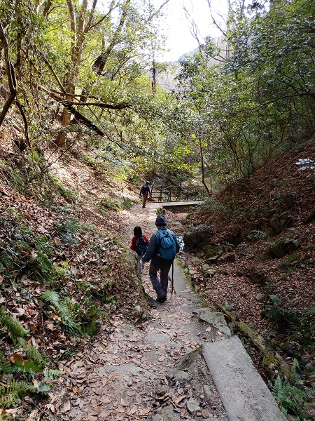 馬の背から祐泉寺に下る登山道