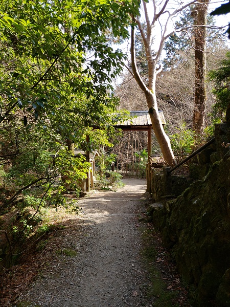 馬の背から祐泉寺に下る登山道の出口