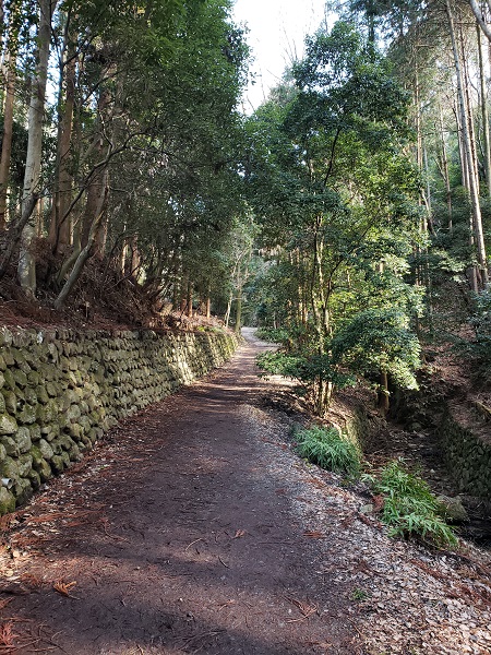 銀閣寺山国有林の入り口の道路