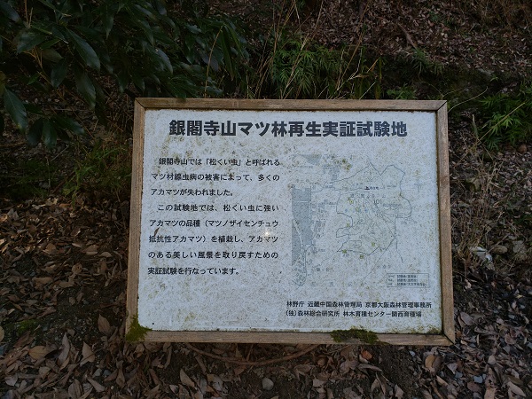 林野庁が設置した「銀閣寺マツ林再生実証試験地」の看板