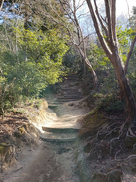 登山口から大文字焼きの火床に向かう登山道