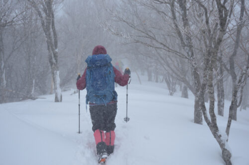 三峰山ハイキング