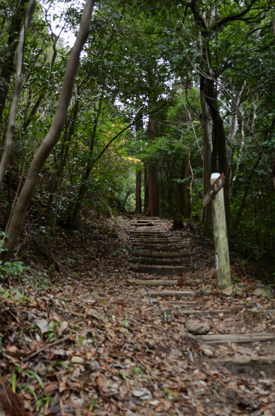 岩湧山ハイキング