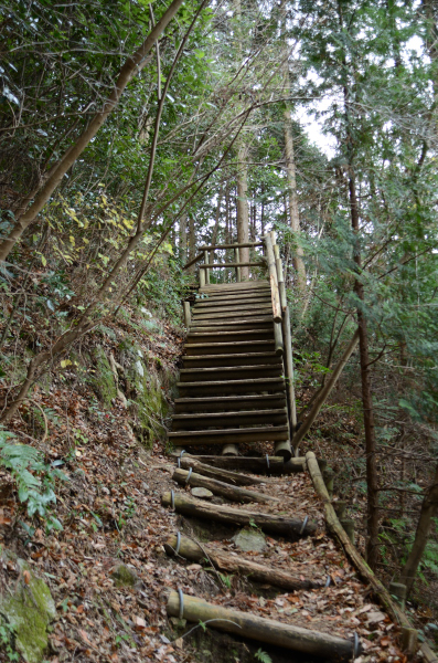 岩湧山ハイキング