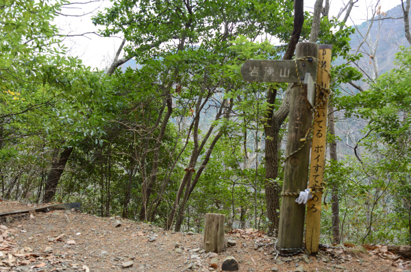 岩湧山ハイキング