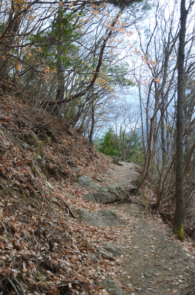 岩湧山ハイキング