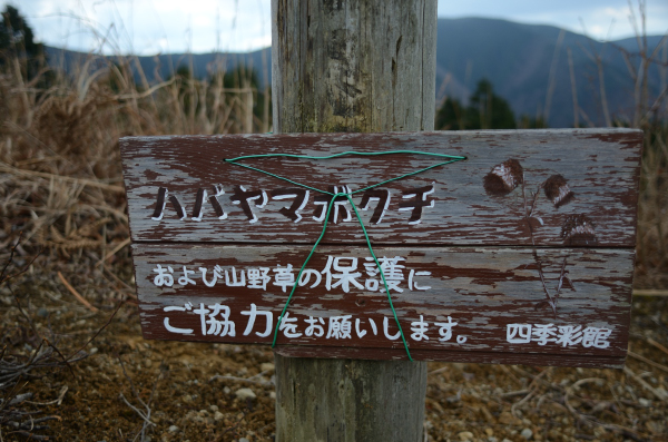 岩湧山ハイキング