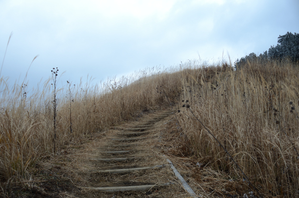 岩湧山ハイキング