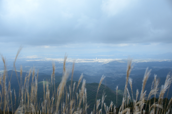 岩湧山ハイキング