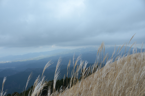 岩湧山ハイキング