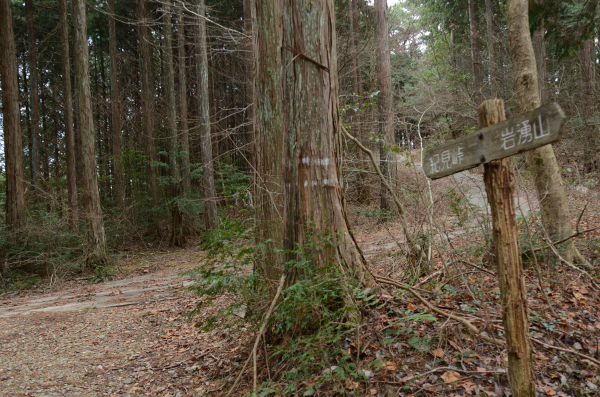 岩湧山ハイキング