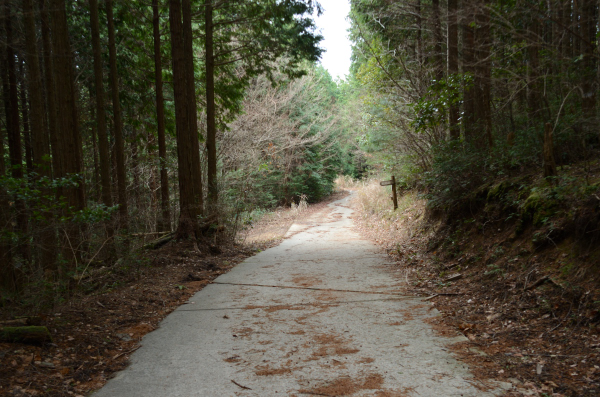 岩湧山ハイキング