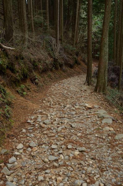 岩湧山ハイキング