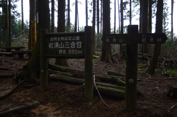 岩湧山ハイキング