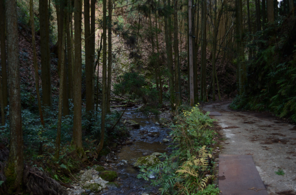 岩湧山ハイキング