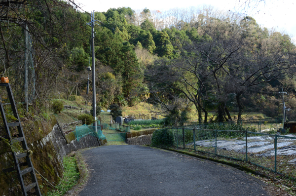 岩湧山ハイキング