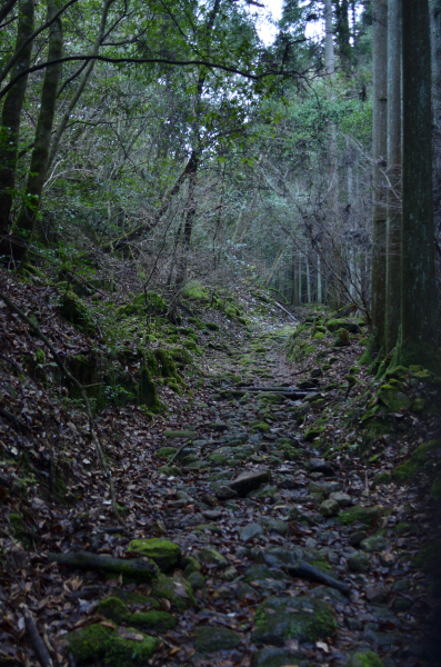 宇陀市ハイキングマップ
④東海自然歩道
大野寺 ・ 室生寺コース