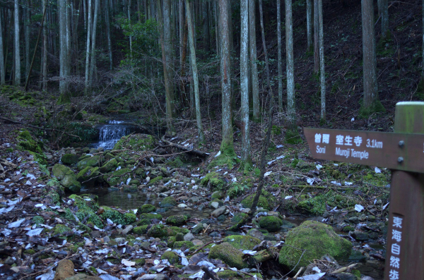 宇陀市ハイキングマップ
④東海自然歩道
大野寺 ・ 室生寺コース