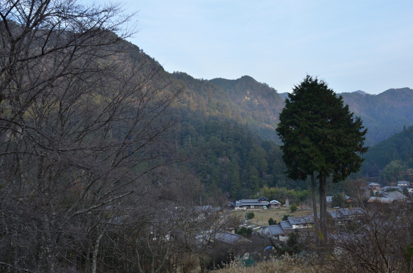 室尾寺ハイキング