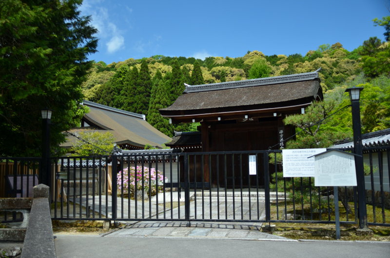 京都一周トレイル「松尾山ハイキング」